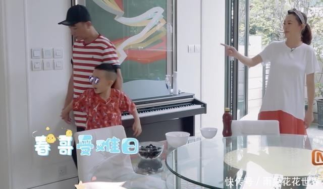 节目|陈小春夫妇角色互换,Jasper刁难爸爸,应采儿称生二胎是为陪自己