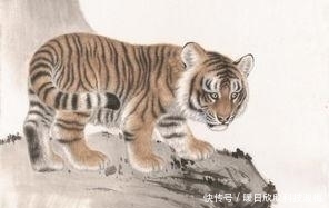 财富|属虎人:家财万贯,苦尽甘来,财富不断找上门!