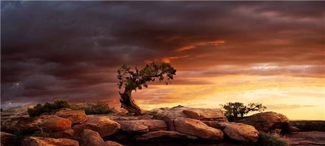 励志|几句励志心灵鸡汤,写在心里,为你一个人