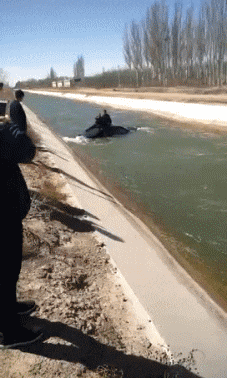 舞姿|搞笑GIF:这舞姿,真是把我迷晕了!