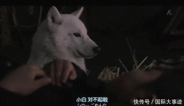 离家出走|被父母家暴后,13岁男孩离家出走到深山,一呆就是43年