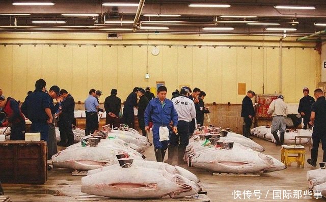 市场|全球最大海鲜市场被拆,六旬老人失声痛哭:请把它还给我