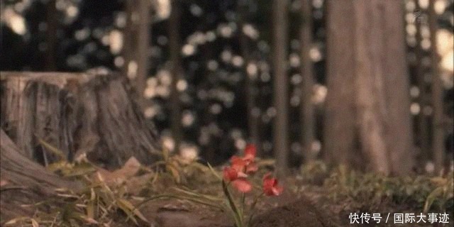 离家出走|被父母家暴后,13岁男孩离家出走到深山,一呆就是43年