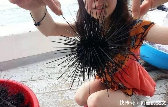 认出|海鲜大全, 你能认出多少