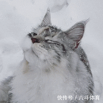  gif|搞笑gif：为了藏5元私房钱，又逼疯了一个