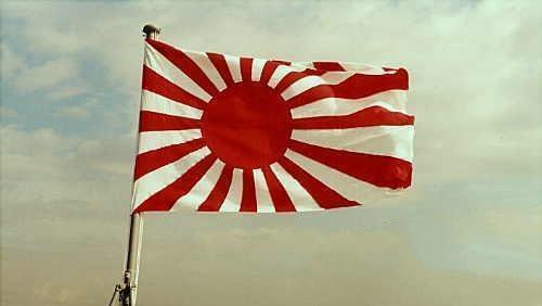 国家|这个国家军旗意义非凡,即使破损也不修复,很难被缴获