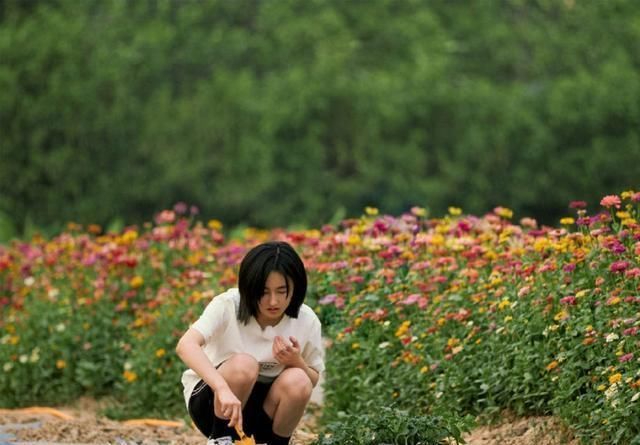 向往|《向往4》正式开播,周迅全程素颜出镜,何炅节目现场飙