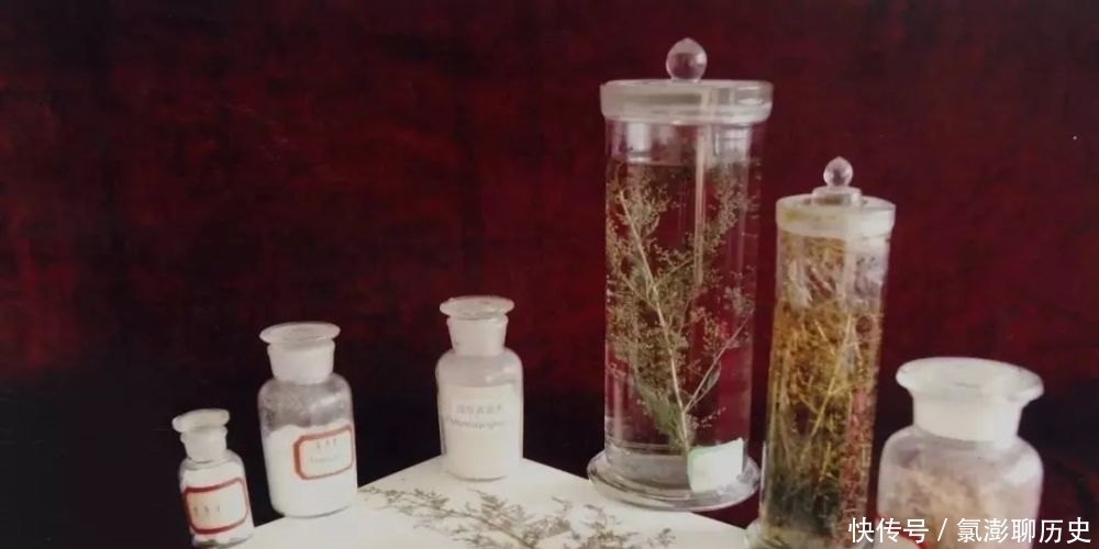 海军|工业革命以来最重要的革命就是标准化,他意味着高质量和品质如一