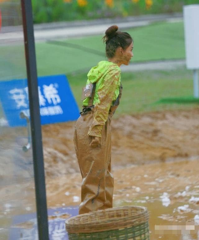 名牌|跑男团泥塘开玩“撕名牌”baby黄泥满脸依旧美貌无双引人注目