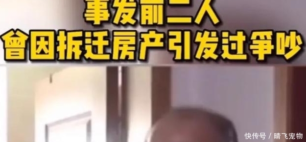 财产|来女士继子有财产继承权吗?