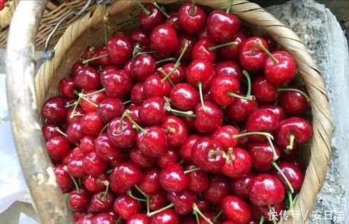 尽量|买樱桃,不论贵贱,只要发现这2点,就尽量别买,口感都是极差的
