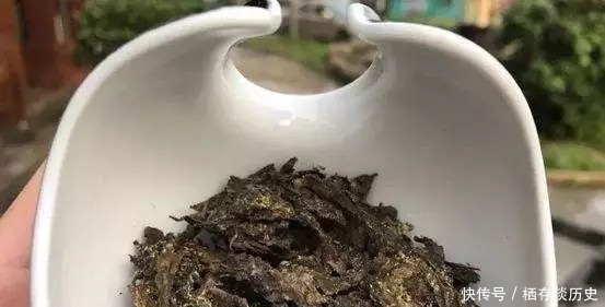 品质|黑茶“金花”的五个特别之处