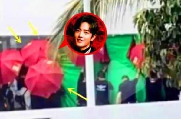 复出|复出成功?《青环2》收视下跌靠肖战博热度,某综艺开天价邀请他