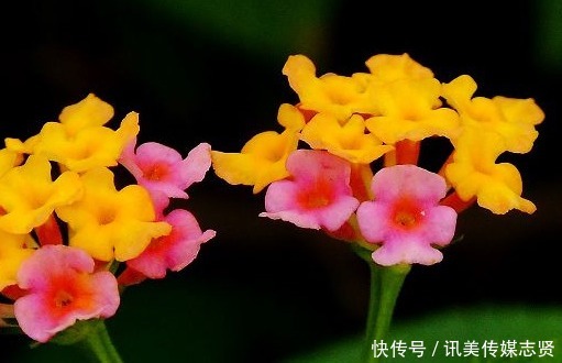 美满|进入9月中旬，4属相运势更上一层楼，财源滚滚，生活富足美满