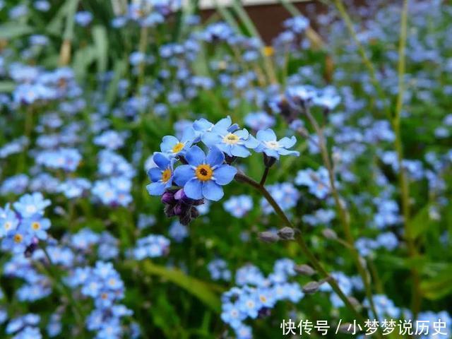 老人|世界上最伟大的骗局:152名老人被骗8年,但他们从未如此快乐