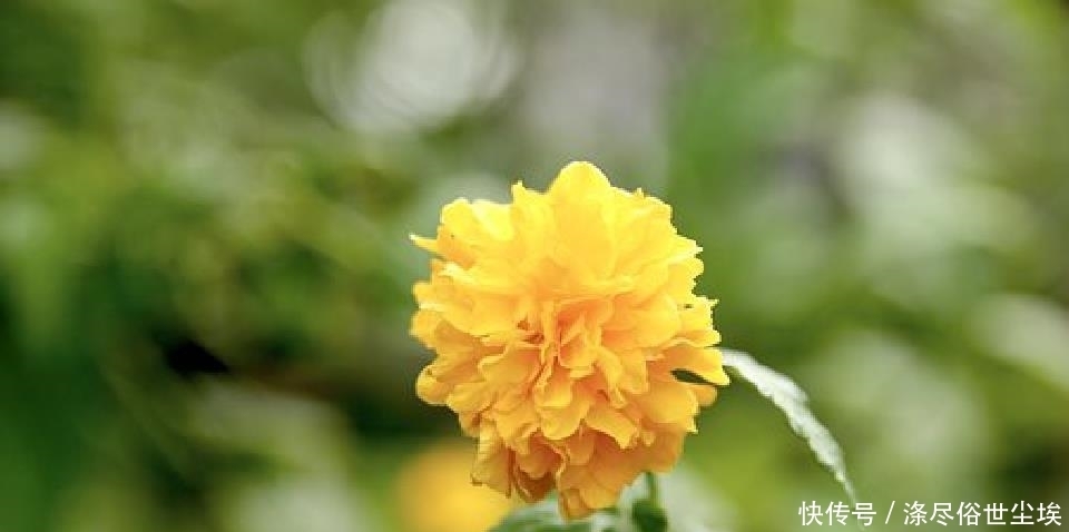 些事情|说到心坎上的人生句子,感悟人生百味,道尽人间甘苦