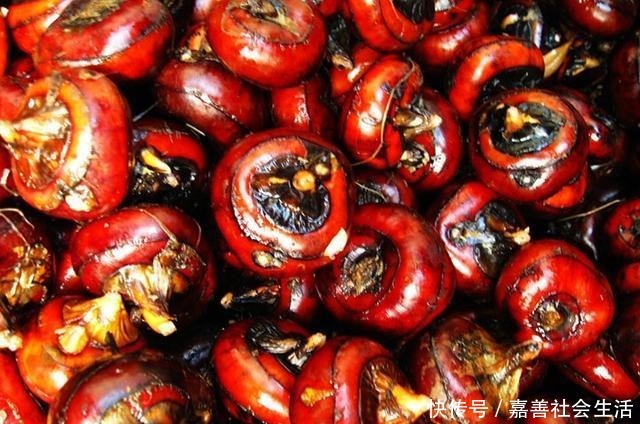 好吃|这5道中国美食,虽然好吃,但很多人都不认识!初中学历就别试了