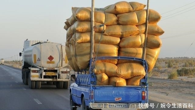 生活中|损失近百万元!400多吨粮食不翼而飞,背后真相惊讶众人