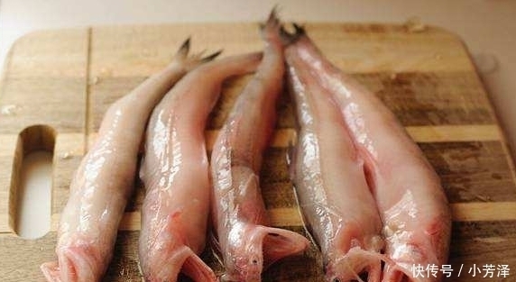 鲈鱼|鲤鱼鲫鱼比不过,这3种海鱼才是“营养首选”!说名字,老板就知是行家