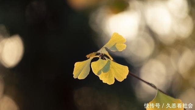 代代相传|平凡的世界：煤炭工人孙少平，代代相传的贫穷，无法改变