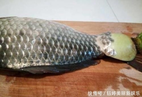 对鱼鳞进行|原来刮鱼鳞这么简单,一个塑料袋就搞定可惜很多人不懂,都学学
