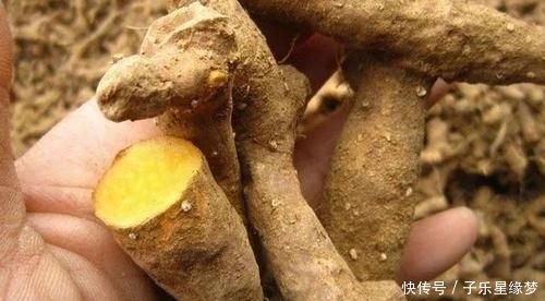 市场|农村一种野草以前不被重视，现在发现可以解毒消肿，市场一斤8元