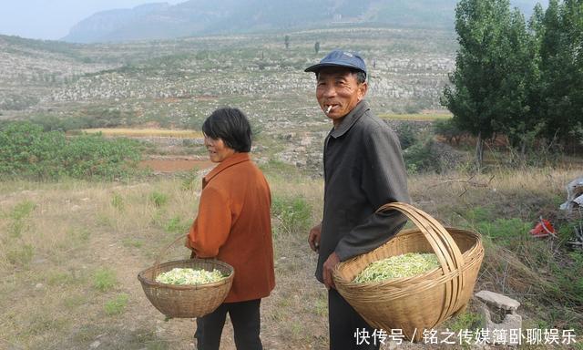 离婚|新郎接亲途遭车祸致瘫,获赔80万,新娘离婚要分40万法院这样判