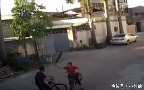  挥伞|大妈逆行撞车挥伞打人被反殴，受伤住进医院，家属：他下手那么重