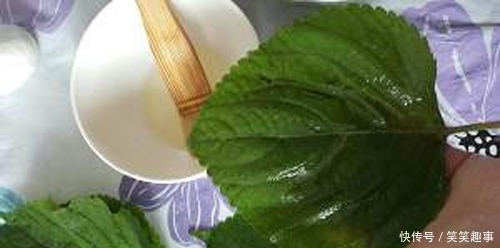 东北|东北的特色小吃“粘耗子”,您吃过吗?做法简单,让人百吃不厌