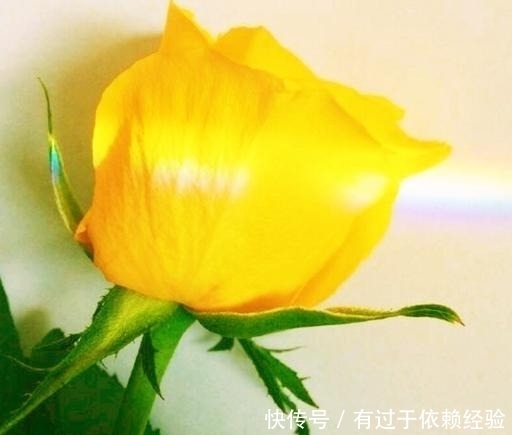 生活不会惯着你,想要不被抛弃,必须自己争气!|阳光短句| 想要