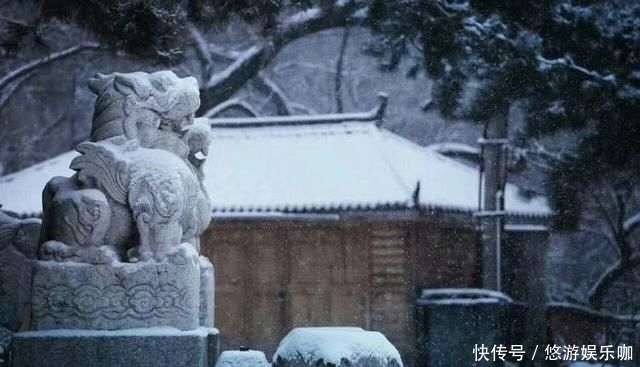 季节|人这一生,最难活出自己的季节