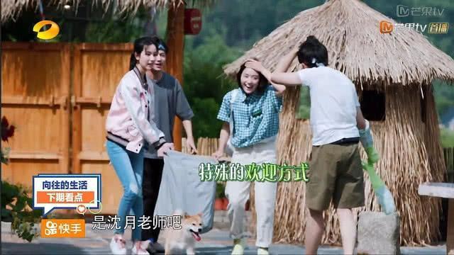  何炅|《向往的生活》最低调女嘉宾，未播就引热议，黄磊没人看也要请