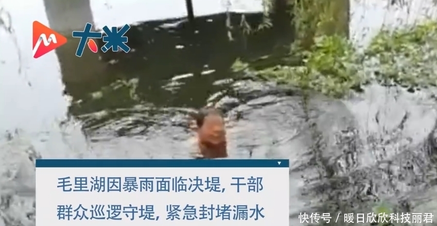 堤坝|面临洪灾决堤危险,年近7旬老人奋勇下水封堵堤坝漏水口