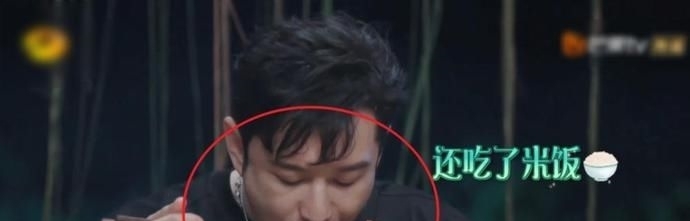  手艺|《向往》面对黄磊手艺，黄晓明现“真香”定律，这波着实圈粉了