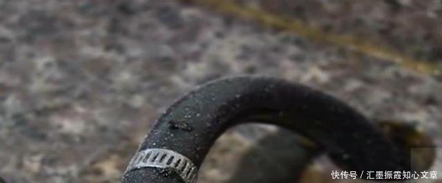  厨房|半夜厨房有响声，女子开灯查看……轰！落地窗都炸飞了！