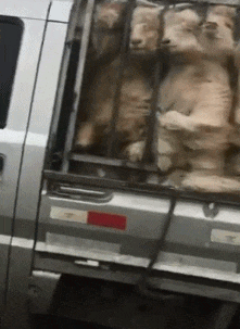 舒爽|搞笑GIF：为什么看到他摔倒，心里会莫名的舒爽呢？