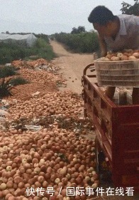 来撑|这伴娘怕不是来撑场子是来砸场子的吧!哈哈哈