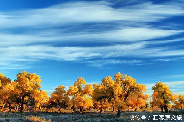 热烈|等待一年,只为胡杨林21天的极致灿烂和浓烈!