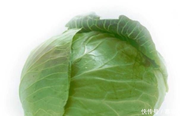  包菜|一种有两种口味的食物，手撕包菜有辣的，糖醋莲白有酸的