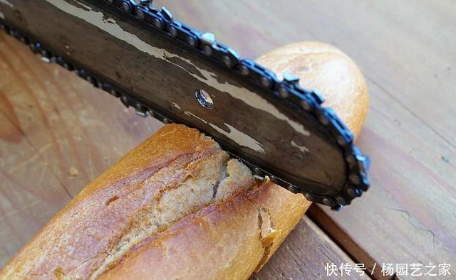 执着|啃最硬的面包打最硬的仗,欧洲人对硬面包的执着从何而来?