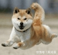  分手|开心一刻: 叔叔, 我和你儿子分手两个月了, 你别再送我东西!