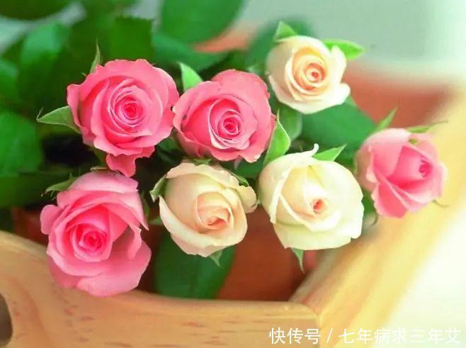 爱情|八月上旬，四大星座，桃花红艳艳，喜遇良缘，牵手甜蜜爱情