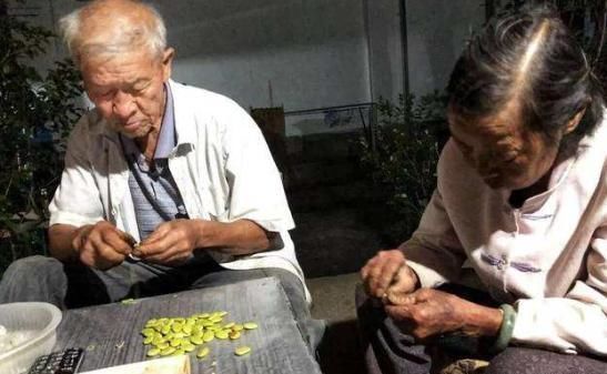  糖水|原产自我国，果实在古代是贡品，儿时用它煮糖水喝，如今100元1斤