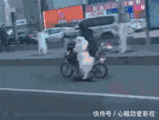 难受|“妹子的护甲快掉了,我看着都难受...”哈哈哈又犯强迫症了!