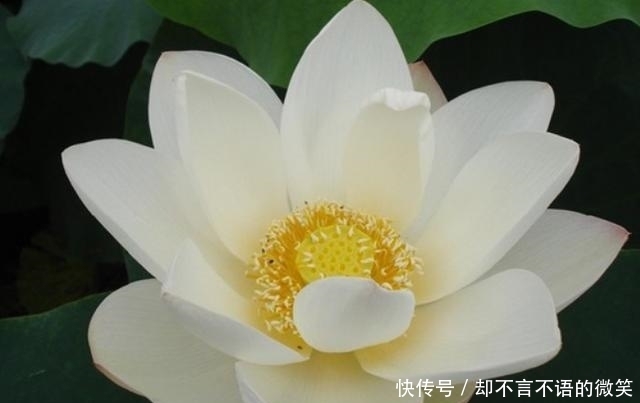 星座|下半年最易成功的4个星座,脚踏实地的努力,成功不会辜负你