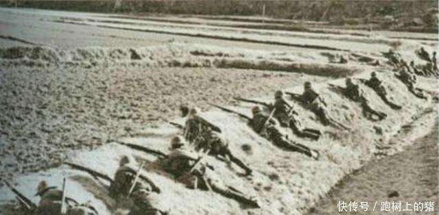 部队|淞沪会战老照片这个地方失守后,一位师长曾举枪自戕