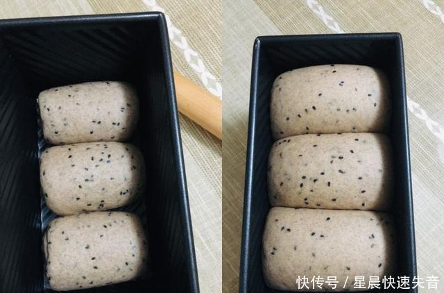  发酵|全麦黑芝麻吐司（波兰种）