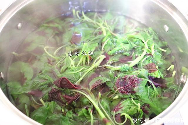  吃饺子|入伏吃饺子，韭菜芹菜不如这菜，钙和铁丰富，现在吃正当时