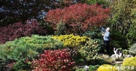 年来|英国老人退休后,把一生所爱献给这片荒地,25年来从不停歇