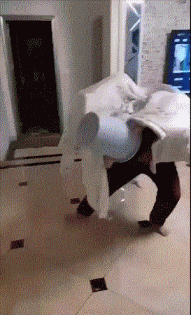 恶性竞争|搞笑GIF:这就是恶性竞争呀,谁都没得到好